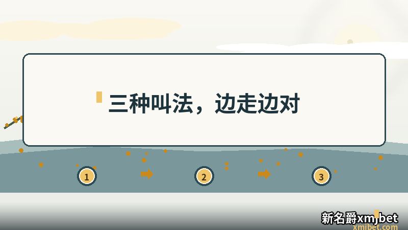 X名爵 三种常见叫法的使用动线